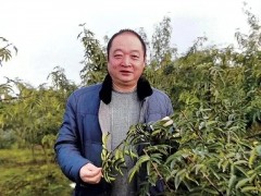 陈秀强：引领花椒产业走出兴旺路