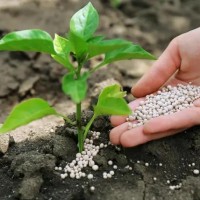 成武县2022年化肥减量增效项目化肥采购竞争性磋商公告